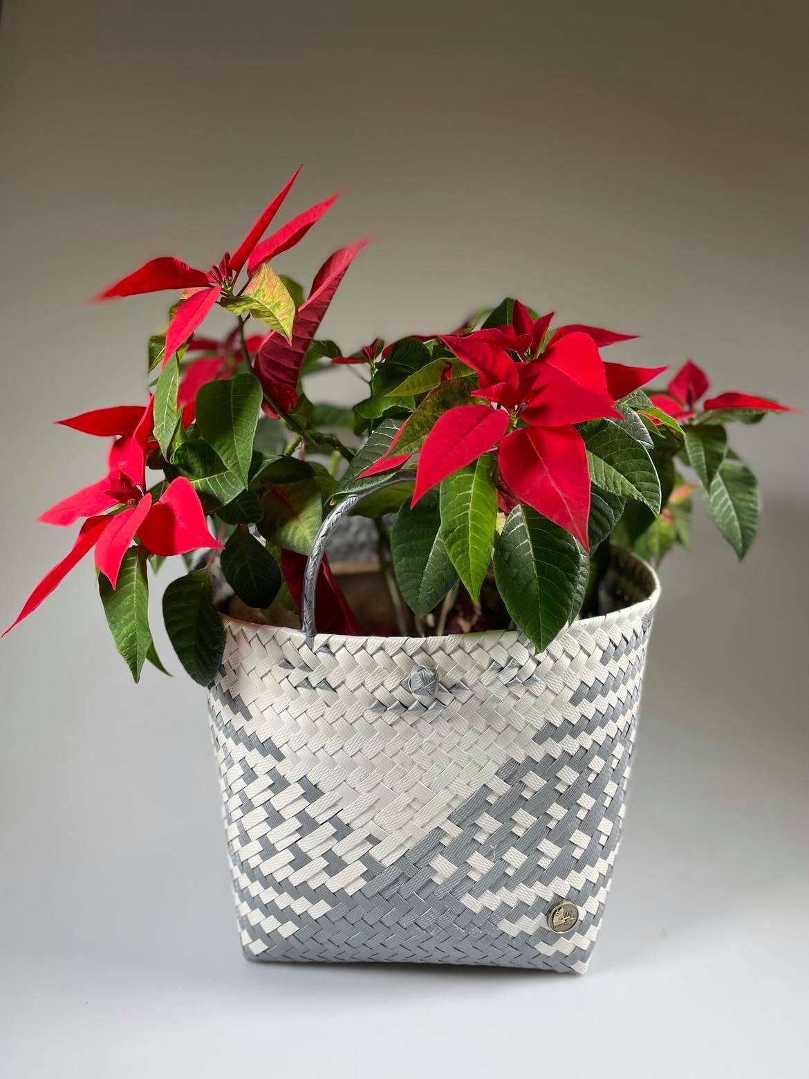Pot Plant Holder