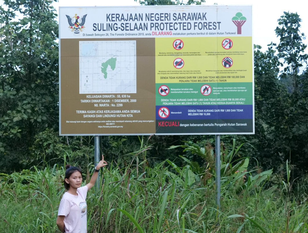 Forest Defenders: How Indigenous People Protect Borneo's Rainforests